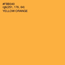 #FBB040 - Yellow Orange Color Image